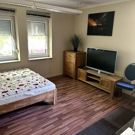Large For Up To 18 People Near Halle Leipzig With Pool Table Apartment