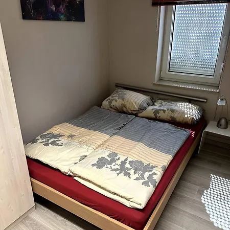 Appartement Large For Up To 18 People Near Halle Leipzig With Pool Table *