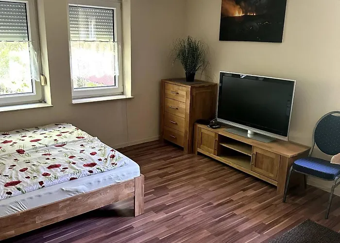 Large For Up To 18 People Near Halle Leipzig With Pool Table Appartement