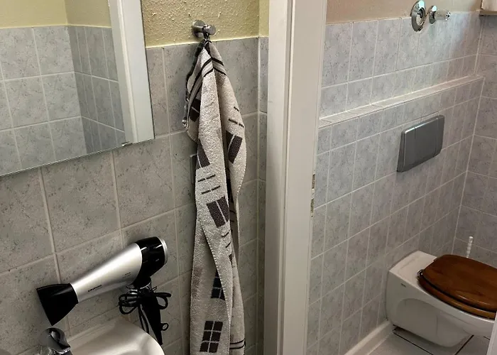 Large For Up To 18 People Near Halle Leipzig With Pool Table Appartement *