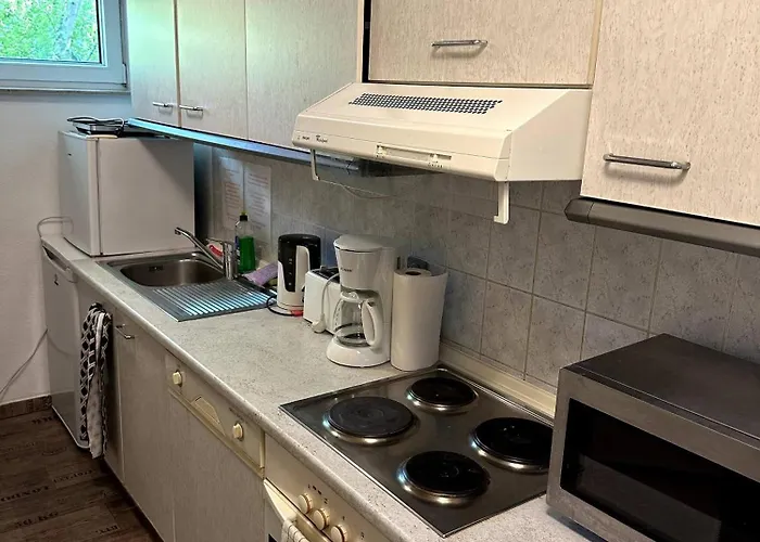 Appartement Large For Up To 18 People Near Halle Leipzig With Pool Table